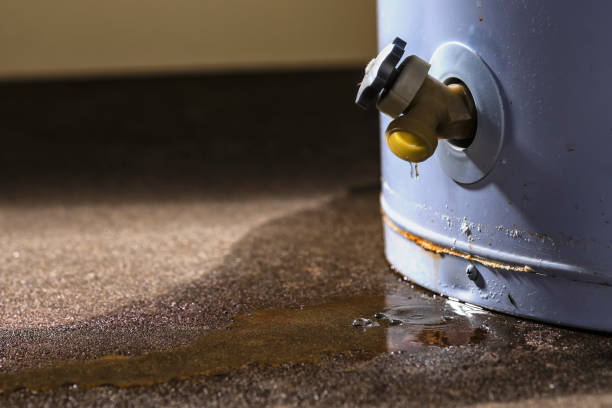 Best Water damage restoration near me  in Lake City, GA