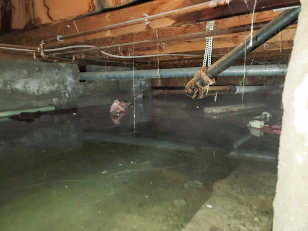  Lake City, GA Water damage restoration Pros