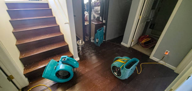 Best Water damage restoration near me  in Lake City, GA