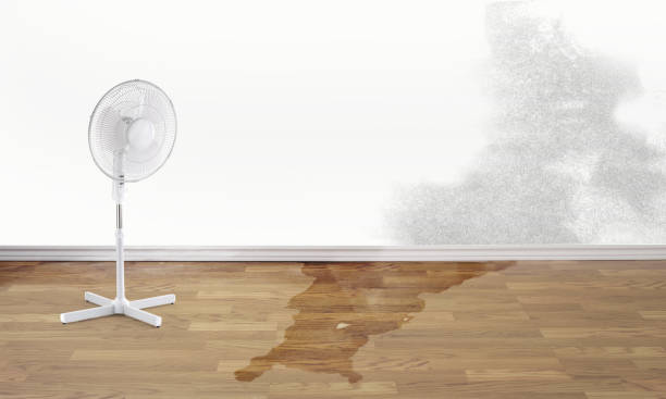 Professional Water damage restoration in GA