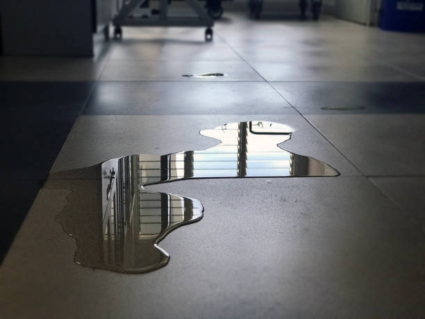 Best Commercial water damage restoration  in Lake City, GA