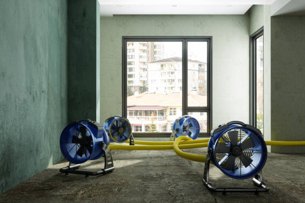 Best Sewage cleanup and water damage restoration  in Lake City, GA
