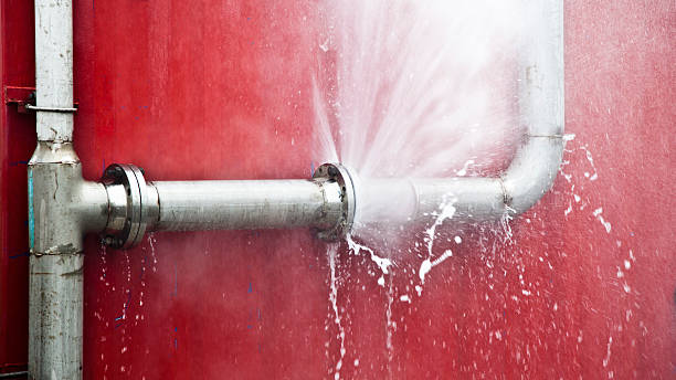 Best Professional water damage repair  in Lake City, GA